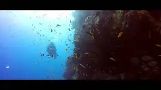 Diving in weh island with iboih divecentre