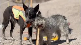 Dixon, Montana #skateparkconstruction #dogsofevergreen