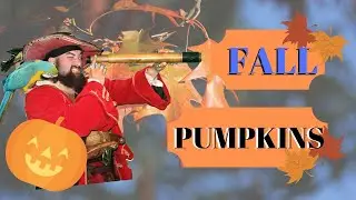Captain Jay Learns about Seasons | Learn about Fall | Educational Kids Videos