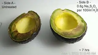 Avocado and Sodium Metabisulfite (E223) Timelapse