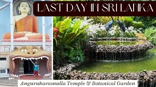 Last day in sri lanka | Exploring Angurukaramulla temple & Botanical garden