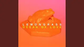 Ocean of Love