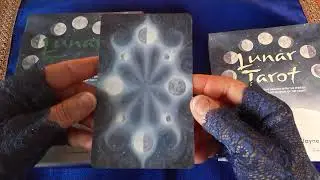 ✨Lunar Tarot ~ Flip-Through & Timeless One-Card Reading✨