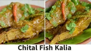Chital Macher Kalia --Bengali Special Recipe l Chital Fish Curry I Chitol Kalia Recipe I