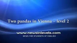 Two pandas in Vienna &ndash; level 2