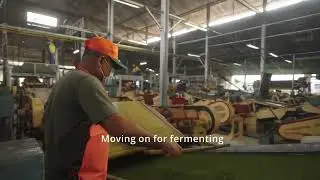 The journey of tea from garden to cup | CTC tea | Jay Shree Tea