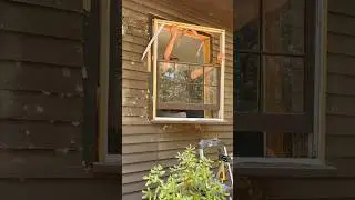 Window removal and prep. #remodel #construction #contractor #diy #carpenter #tools #build