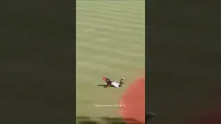 Erik Gonzalez JOYITA a la DEFENSIVA💎
