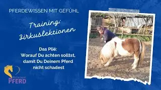 Zirkuslektionen mit Heidrun Hafen:  Zu beachten f&uuml;r Brust und R&uuml;cken in Pli&eacute; und Kompliment
