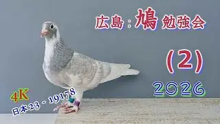 2026年♦広島；鳩 勉強会（２）