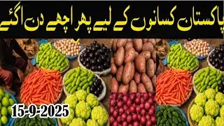 Gojra Sabzi Mandi Today | Fresh Vegetables & Fruits Wholesale Prices
