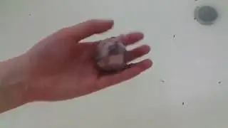 바데피 입욕제 트뤼플 (Badefee Truffles)
