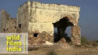 Panoramic view of Alwar city, Rajasthan