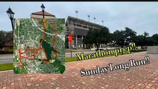 Marathon preparation ￼- 2 weeks out From Race Day 