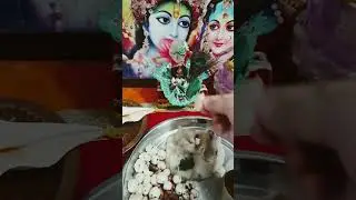 अधिपति tino lok ke khaye vidur Ghar sag kanha bhog love you mere kanha
