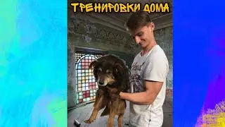Как накачаться дома на карантине!