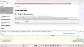 WebGoat - Developer Tools