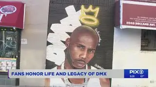 Artist completed DMX memorial mural
