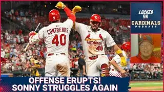 What's Going On With Sonny Gray? Erick Fedde FALLOUT! How Bad Was This Deal In The End?