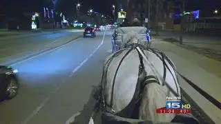 Carriage Rides In Downtown FW