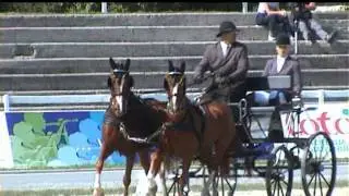 CONES-  KOCH & BAACKMANN (GER)@LIPICA 2011