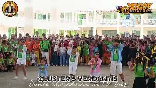 Verdantis cv diez