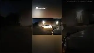 Shocking Traffic Stop  Driver's Wild Reaction to Arrest! #shorts
