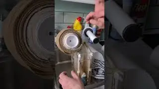 How to change a clarisea filter fleece #fishtips #fish #aquarium #diy #fishtank #howtofish #clarisea