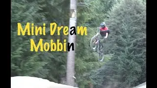 Power Hour - Mini Dream
