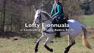 Lofty Fionnuala till salu