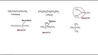 Types Of Carbon : Primary, secondary, tertiary, quarternary, vinyl, allyl, iso, neo, etc