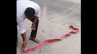 1000 wala Crackers🔥🔥🔥#shorts #crackers #testing #expiriment #fireworks #trending #viral#viralshorts