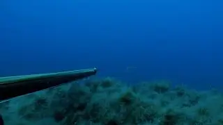 SPEARFISHING DOCUMENTARY TA THIRAMATA & TA MISTIKA TOYS - THE DENTEX (H SINAGRIDA) PART 1