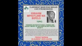 Towards an Institutional change and Agency Model of Building an Anti-Racist Society