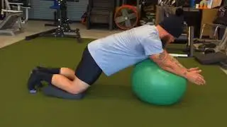 Exercise Ball Roll Out: DARU STRONG EXERCISE ARCHIVES