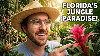 We're Finally Visiting the AMAZING Marie Selby Botanical Gardens in Sarasota Florida!!