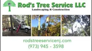 Tree Service Company Flanders NJ