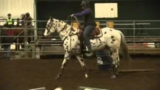 The Horses Eye, Visits Reach Huron