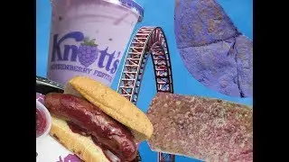 Knott's Boysenberry Festival Vlog & Xcelerator Update