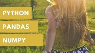 Numpy and Pandas in Python Basics
