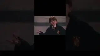 Meet the Harry Potter characters! Part 1 #harrypotter #hermionegranger #ronweasley #dracomalfoy
