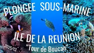 Plong&eacute;e sous-marine 