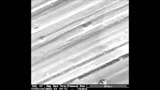 ACS Nano : Direct Observation of Graphene Growth and Associated Copper Substrate Dynamics...