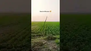 gaoo ka Mausam 🥰❤️❤️👀👀👀👀#bikelover #like #song #😈😈