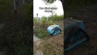 Lawn Mower OEM Service | Koham Manufacturer for B2B Branding
