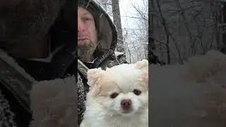 Is it snowing were you are? ❄️