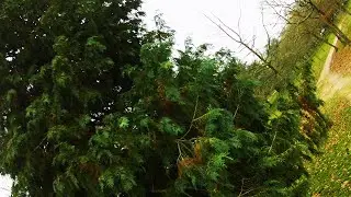AMaNa FPV // #freestyleFPV // Repair Mark4 // Practise & Tuning Emuflight2, IMUF, Emuboost, Emulimit