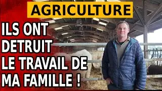 560 vaches tu&eacute;es dans sa ferme , dans le silence le plus total !