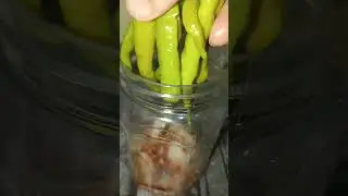 vinegar pickles easy recipe ...