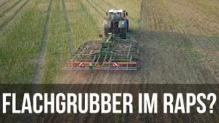 Geht das gut? Stoppelsturz im Raps mit dem Flachgrubber von Amazone